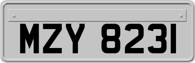 MZY8231