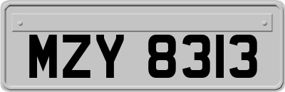 MZY8313