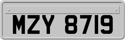 MZY8719