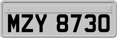 MZY8730