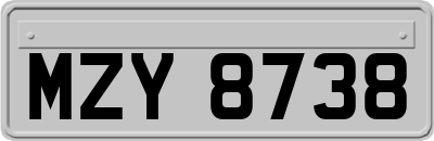 MZY8738