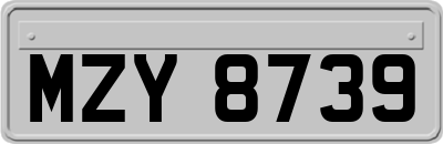 MZY8739