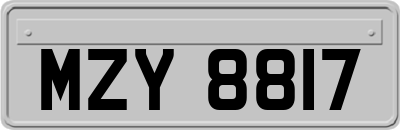 MZY8817