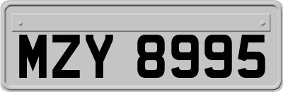 MZY8995