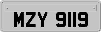 MZY9119