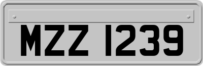 MZZ1239