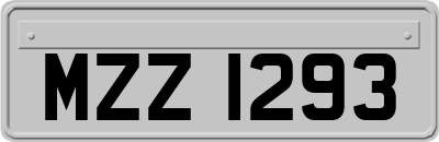 MZZ1293