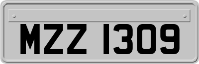 MZZ1309