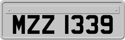 MZZ1339