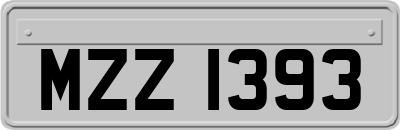 MZZ1393