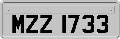 MZZ1733