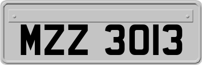 MZZ3013