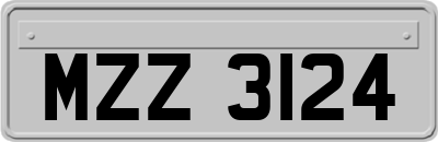 MZZ3124