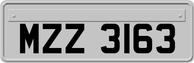 MZZ3163