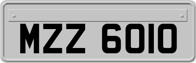 MZZ6010