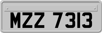 MZZ7313