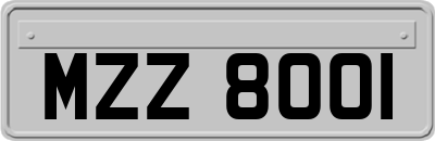 MZZ8001