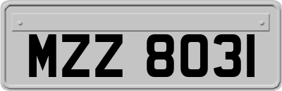 MZZ8031