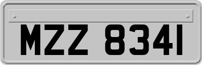 MZZ8341