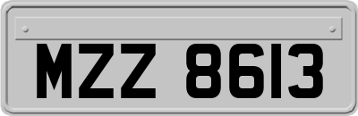 MZZ8613