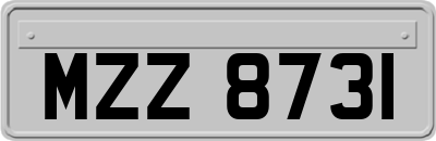 MZZ8731