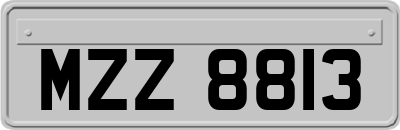 MZZ8813