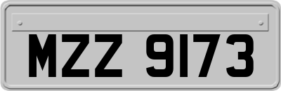 MZZ9173