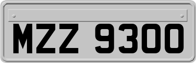 MZZ9300