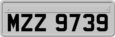 MZZ9739