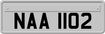 NAA1102