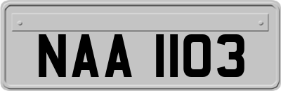 NAA1103