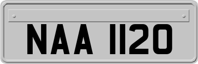 NAA1120