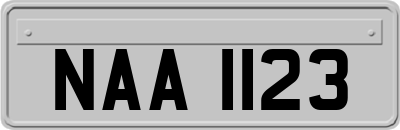 NAA1123