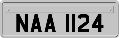 NAA1124