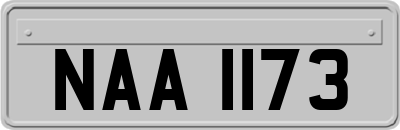 NAA1173