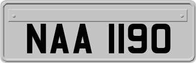 NAA1190