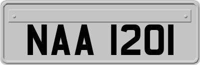 NAA1201