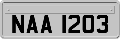 NAA1203