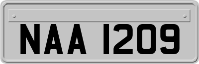 NAA1209