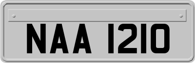 NAA1210