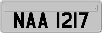 NAA1217