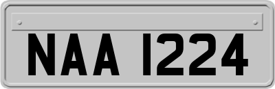 NAA1224