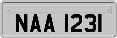 NAA1231