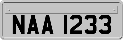 NAA1233