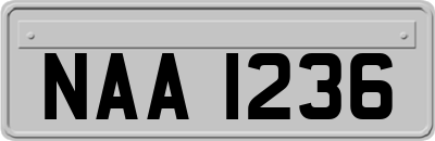 NAA1236