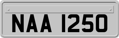 NAA1250