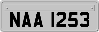 NAA1253