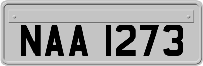 NAA1273