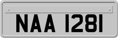NAA1281