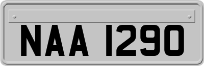 NAA1290